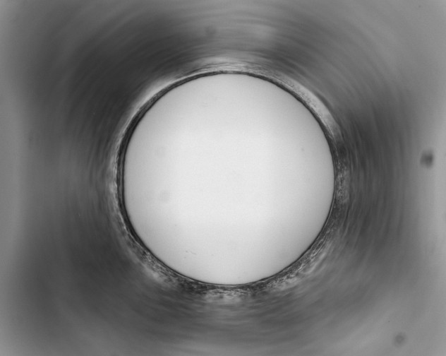 X0000103441051200810031409