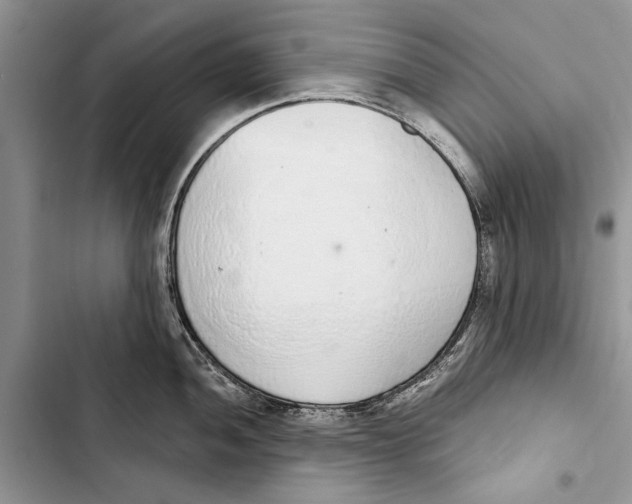 X0000103441052200810031409