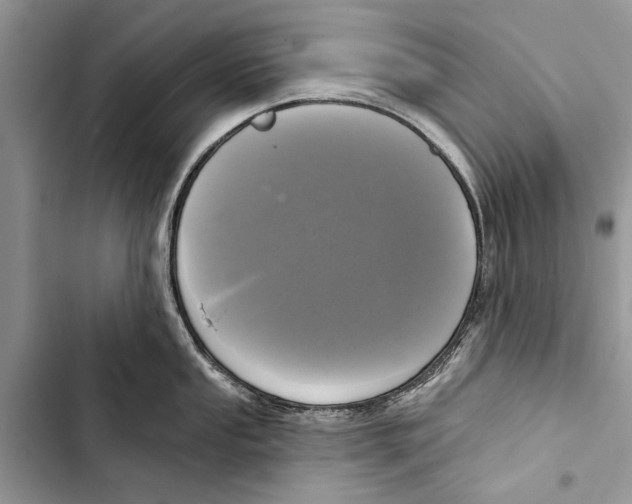 X0000103441053200810031409
