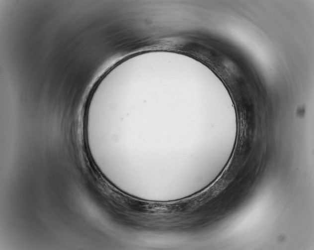 X0000103441054200810031409