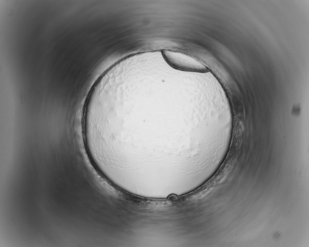 X0000103441055200810031409