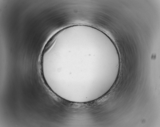 X0000103441056200810031409