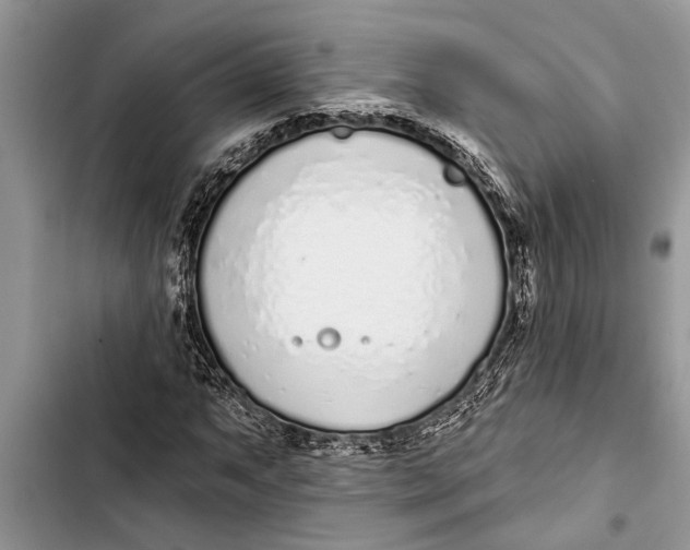 X0000103441063200810031408