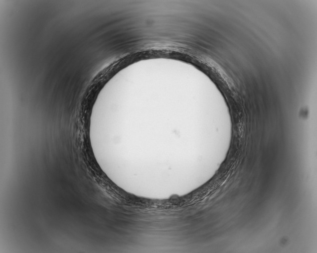X0000103441064200810031408