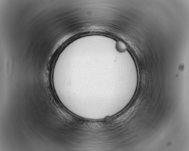 X0000103441066200810031408