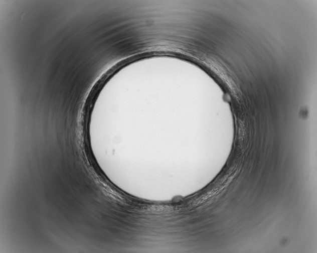 X0000103441068200810031408