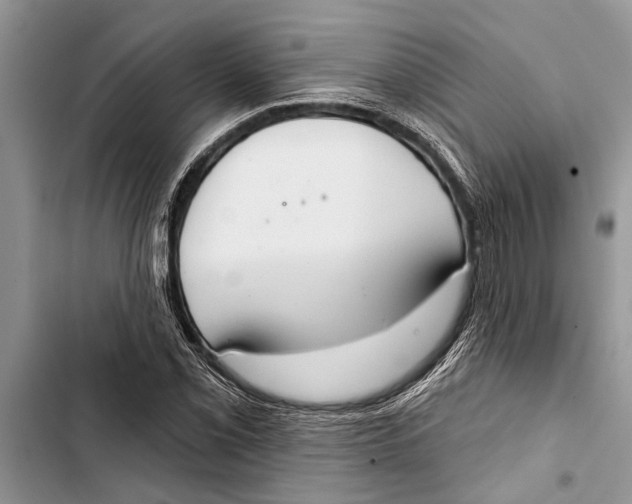 X0000103441069200810031408