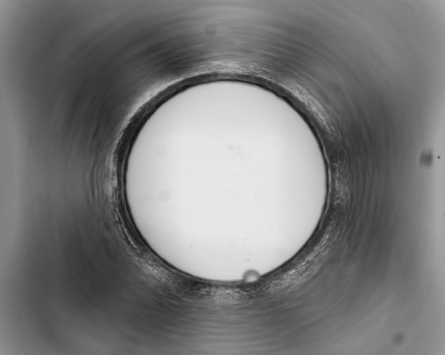 X0000103441070200810031408