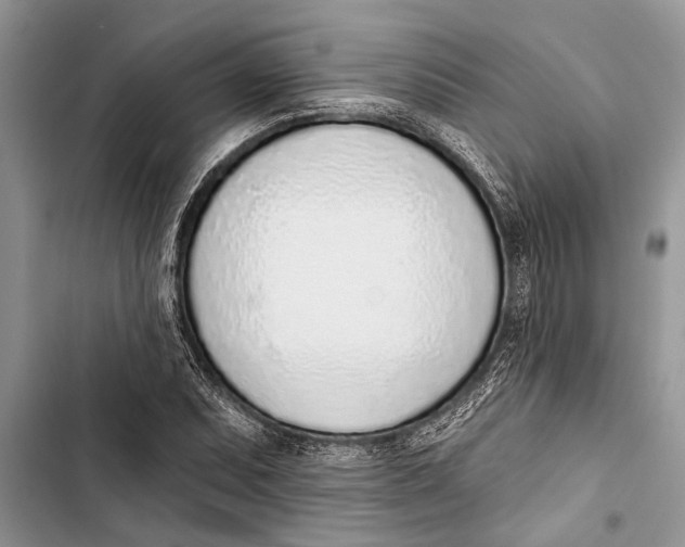 X0000103441071200810031408
