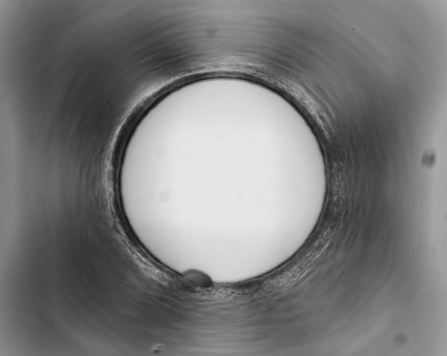 X0000103441072200810031408