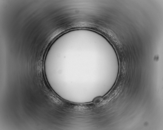 X0000103441073200810031408