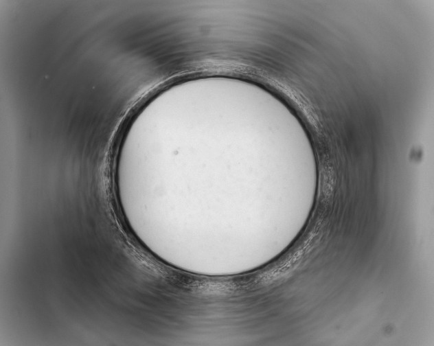 X0000103441074200810031408