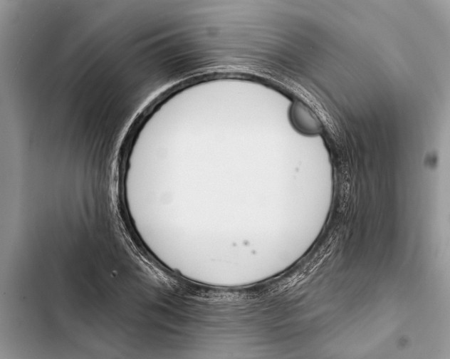 X0000103441076200810031408