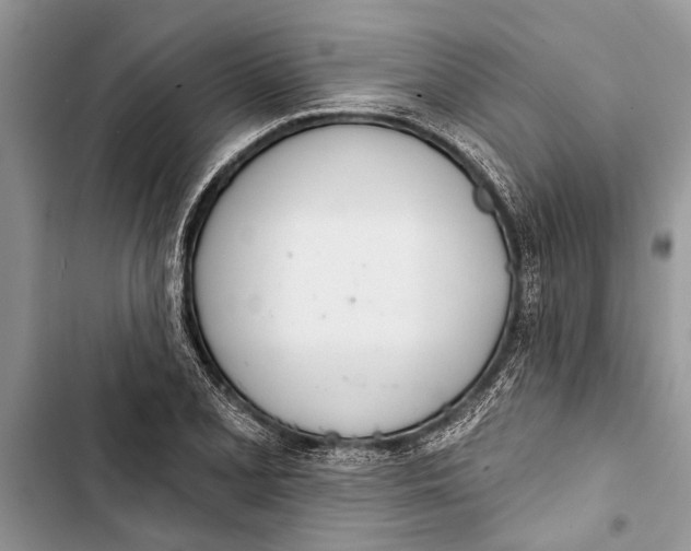 X0000103441077200810031408