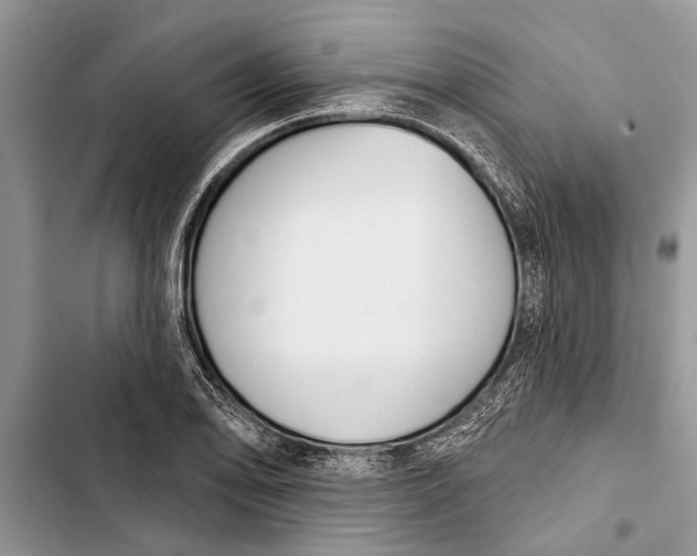 X0000103441078200810031408