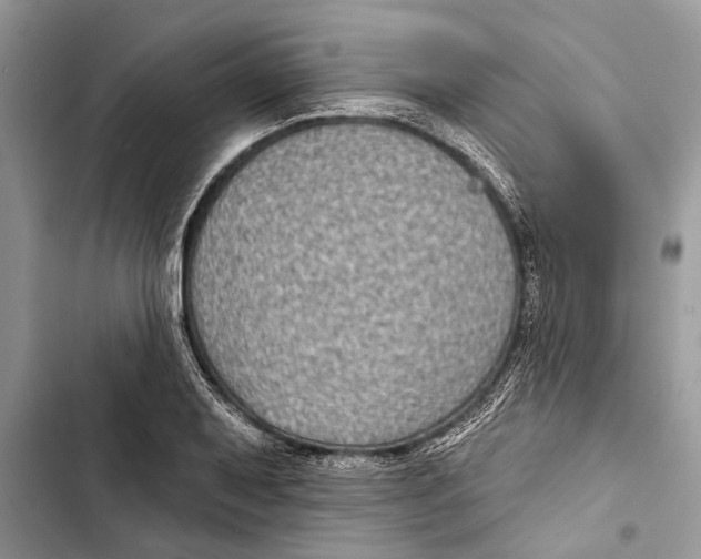 X0000103441079200810031408