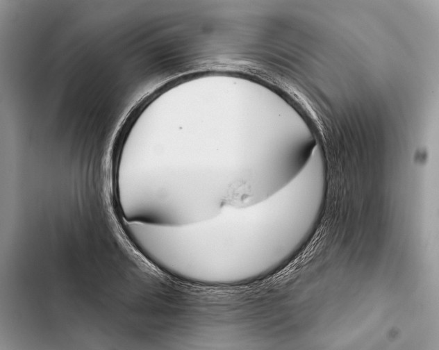 X0000103441080200810031408