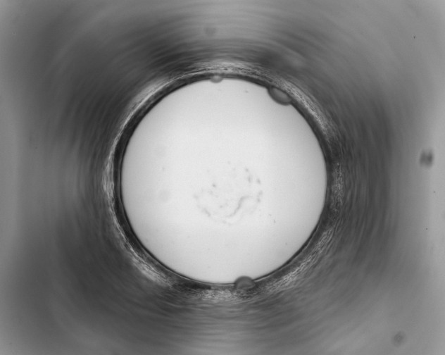 X0000103441082200810031408