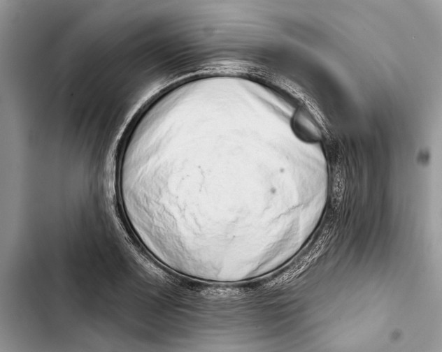 X0000103441083200810031408