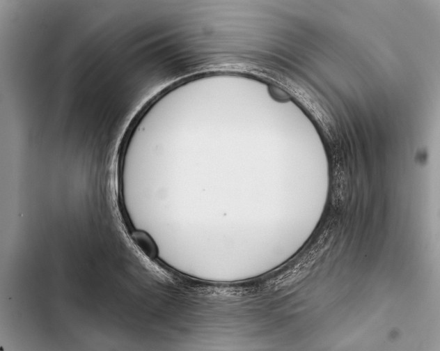 X0000103441084200810031408