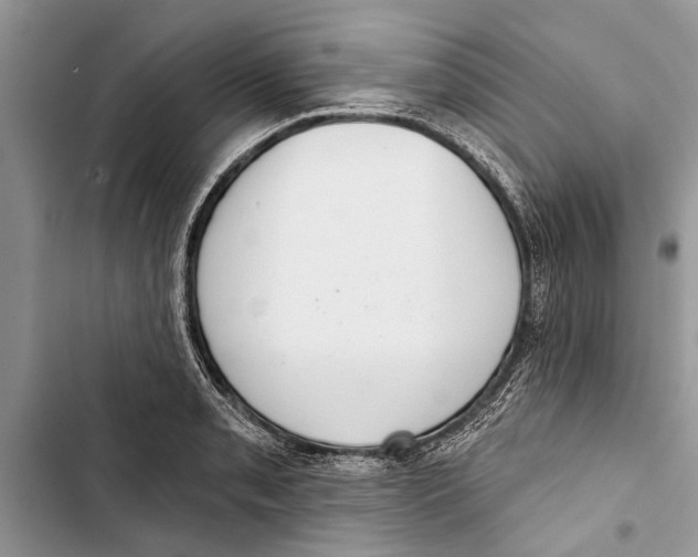 X0000103441085200810031408