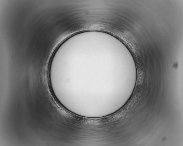 X0000103441086200810031408
