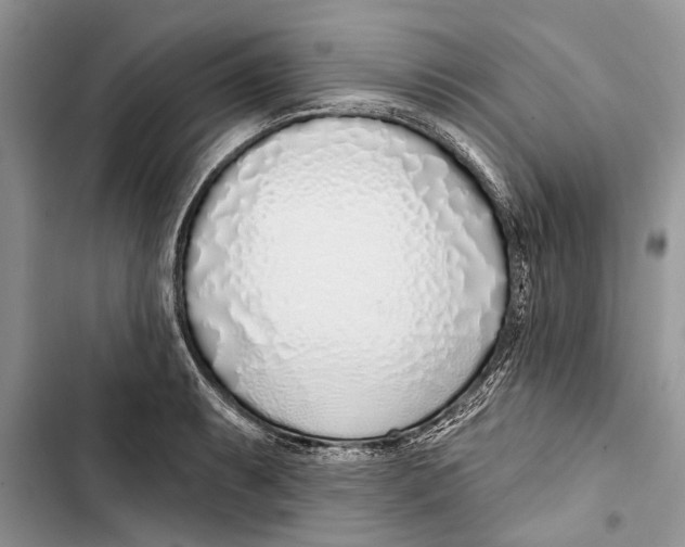 X0000103441087200810031408