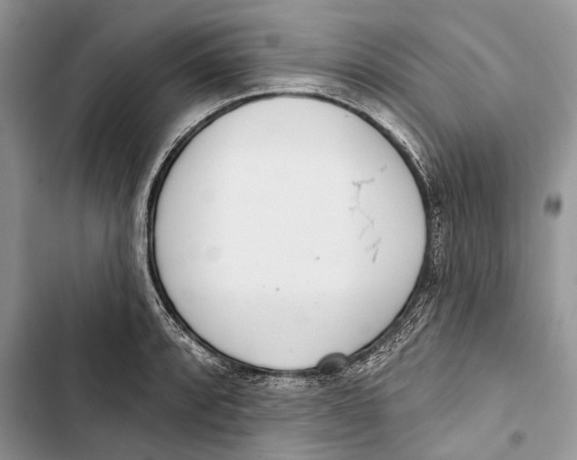 X0000103441088200810031408