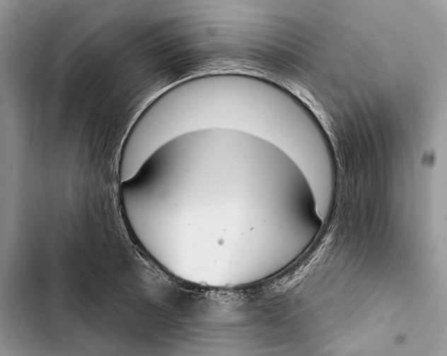 X0000103441089200810031408