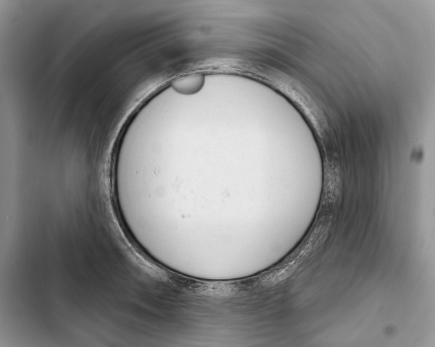 X0000103441090200810031408