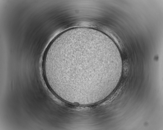 X0000103441091200810031408