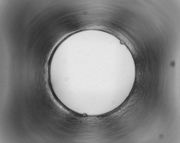 X0000103441092200810031408