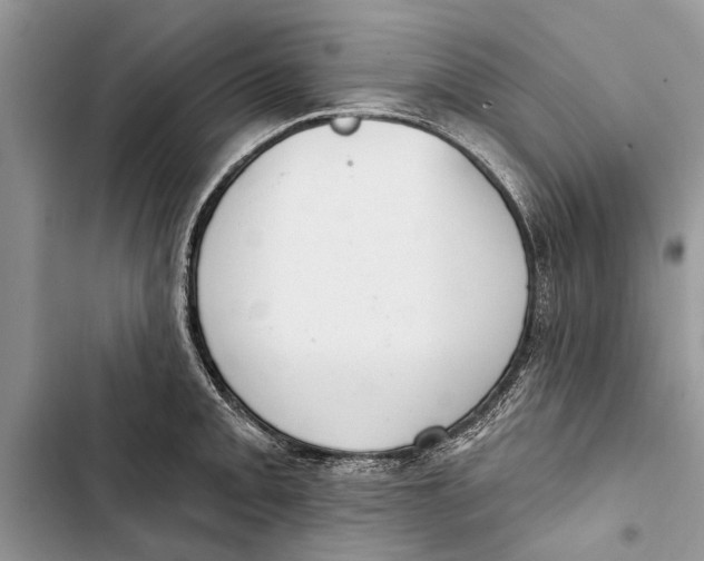 X0000103441093200810031408