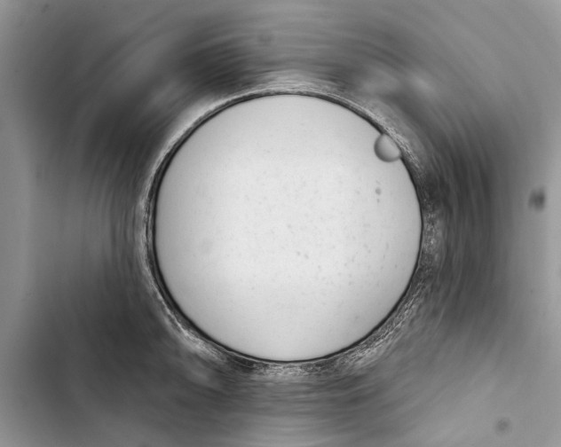 X0000103441094200810031408