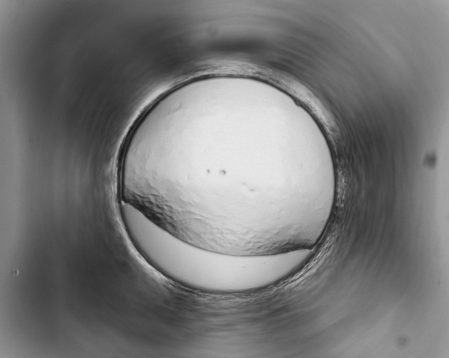 X0000103441095200810031408