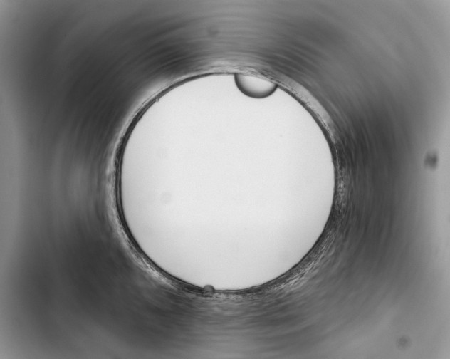 X0000103441096200810031408