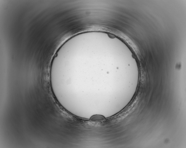 X0000103441097200810031408