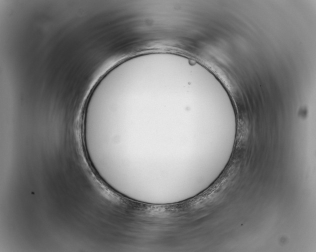 X0000103441098200810031408