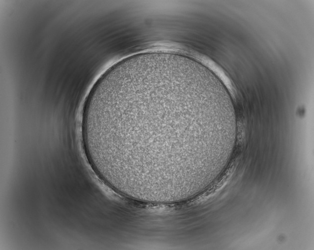 X0000103441099200810031408