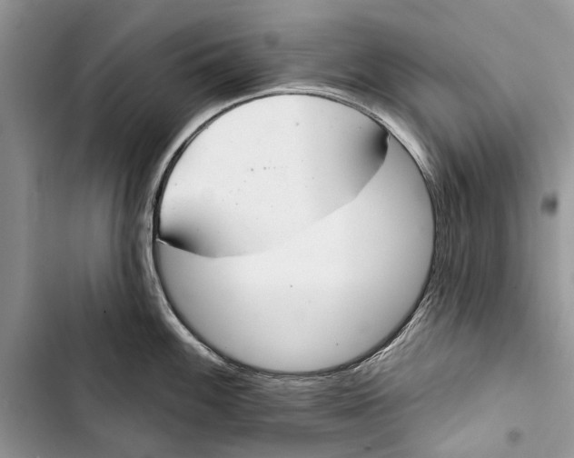 X0000103441100200810031407