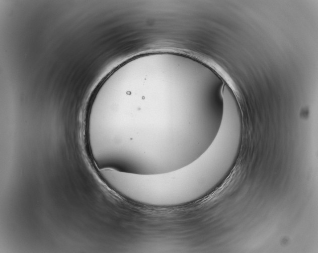 X0000103441101200810031407