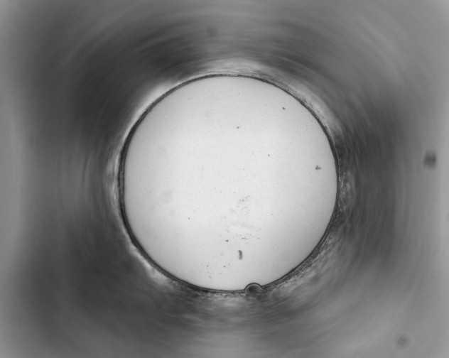 X0000103441103200810031407