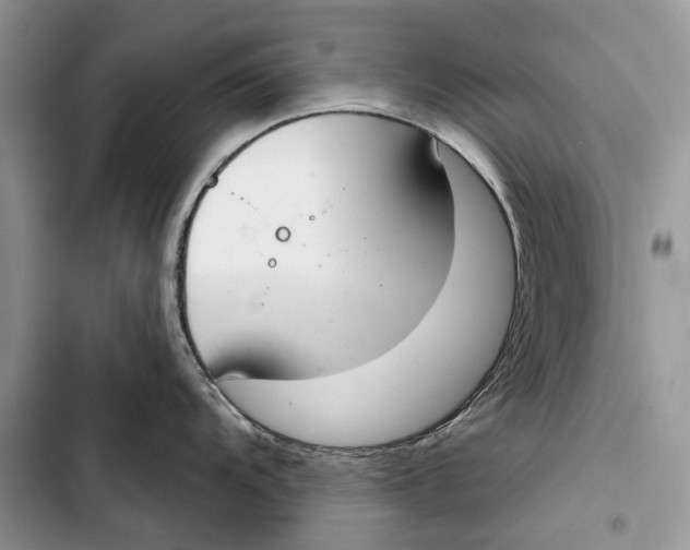 X0000103441104200810031407