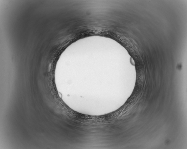X0000103441105200810031407