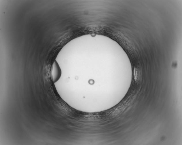 X0000103441107200810031407