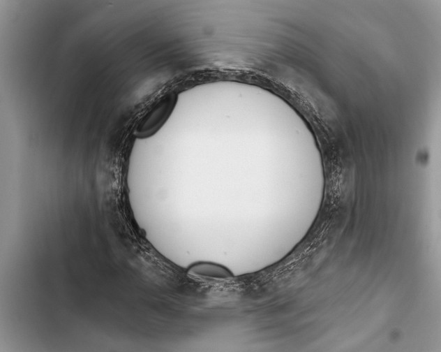 X0000103441110200810031407