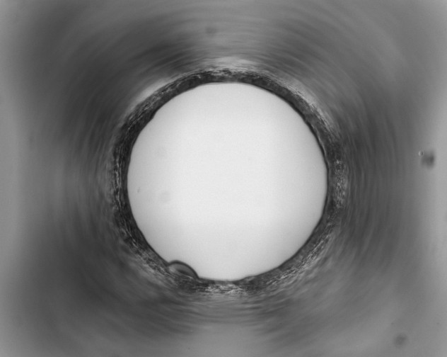 X0000103441112200810031407