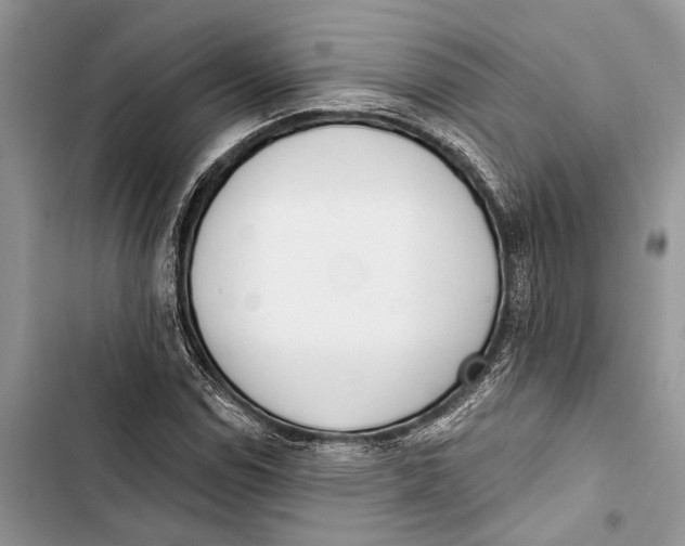 X0000103441114200810031407