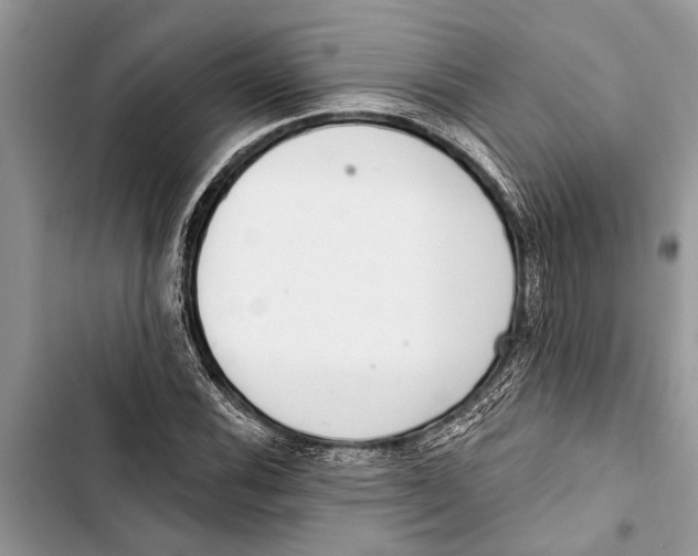 X0000103441116200810031407