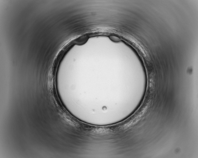 X0000103441117200810031407